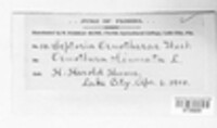 Image Associated With the Occurence